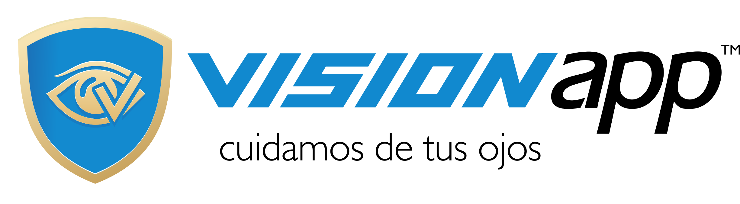 Logo de Vision App